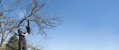 Man pruning or sawing apple tree using chainsaw. farmer sowing the dry branches of apple trees photo