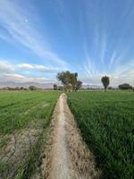 hermoso paisaje rural con un hermoso cielo nocturno degradado al atardecer. campo verde y pueblo foto