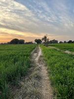 Beautiful Rural landscape with beautiful gradient evening sky at sunset. Green field and village photo