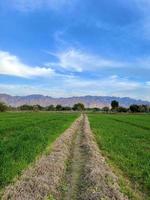 hermoso paisaje rural con un hermoso cielo nocturno degradado al atardecer. campo verde y pueblo foto