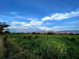 hermoso paisaje rural con un hermoso cielo nocturno degradado al atardecer. campo verde y pueblo foto