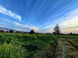 Beautiful Rural landscape with beautiful gradient evening sky at sunset. Green field and village photo