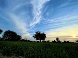 hermoso paisaje rural con un hermoso cielo nocturno degradado al atardecer. campo verde y pueblo foto