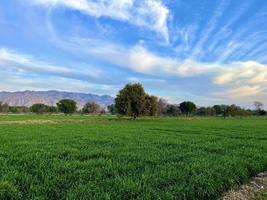 hermoso paisaje rural con un hermoso cielo nocturno degradado al atardecer. campo verde y pueblo foto