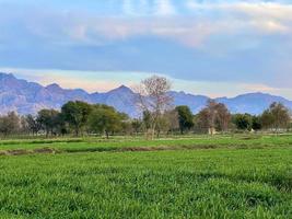 hermoso paisaje rural con un hermoso cielo nocturno degradado al atardecer. campo verde y pueblo foto