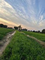 Beautiful Rural landscape with beautiful gradient evening sky at sunset. Green field and village photo