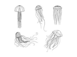 ilustraciones de medusas en estilo de tinta de arte vector