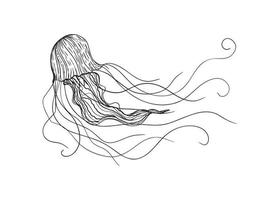 Jellyfish Illustration in Art Ink Style vector