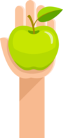 Green apple on hand png