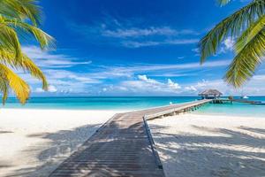 mejor panorama de viajes de verano. islas maldivas, costa del paraíso tropical, palmeras, playa de arena con muelle de madera. destino de vacaciones exótico escénico, fondo de playa. increíble cielo soleado mar, fantástico foto