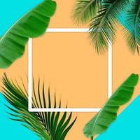 Green palm leaves pattern for nature concept,tropical leaf on orange and teal paper background photo