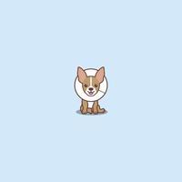 Cute chihuahua dog with elizabethan collar cartoon, vector illustration