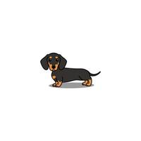 Cute dachshund dog cartoon, vector illustration