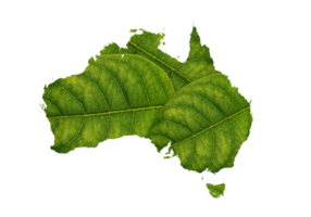 mapa de australia hecho de hojas verdes, mapa de ecología conceptual hoja verde en el suelo png