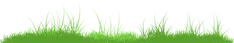 bordure d'herbe png