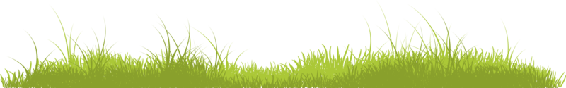 gräs bakgrund png fri