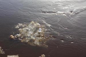 témpano de hielo flotando en el agua. inundación de primavera foto