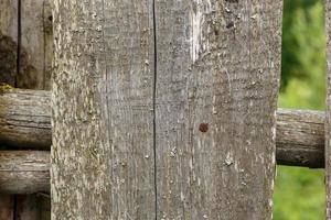 Wooden fence. Old board with a nail. Wood texture photo