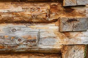Natural background pattern of a log wall. Wooden log cabin wall. photo