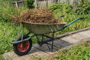 garden cart with natural cow manure. the cart stands on a wooden bridge. photo