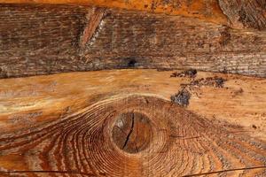 textura de pared de madera. primer plano de un tablero con un nudo. fondo horizontal foto