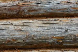 Wooden wall from logs. Texture and background from wooden logs. photo