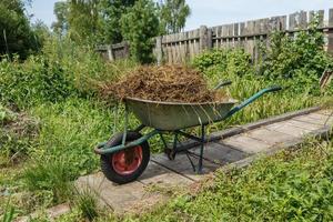 garden cart with natural cow dung. The cart is on a wooden bridge near the fence. photo