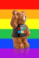 Bear on the background of the rainbow flag. Bear symbol of Berlin. photo