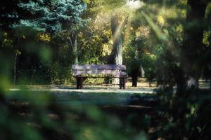 empty wooden bench in the autumn park, the sun's rays make their way through the crowns of trees. Calmness