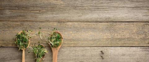 green sprouts of chia, arugula and mustard in a wooden spoon on a gray background from old gray boards photo