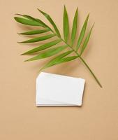 a stack of rectangular white paper business cards and a leaf of a palm tree on a brown background. View from above photo