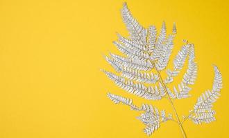 painted silver fern branch on yellow background, background for designer, copy space photo