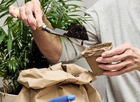 mujer vertiendo tierra en un vaso de papel para plantar semillas en casa foto