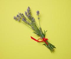 Bouquet of lavender tied with a red ribbon on a green background, top view photo