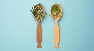 green sprouts of chia, arugula and mustard in a wooden spoon on a blue background photo