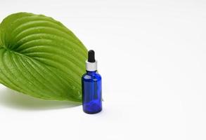 blue glass transparent bottle with a pipette on the background of a green leaf photo