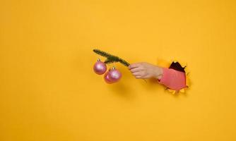 female hand holds a round green branch of pine needles with Christmas shiny pink balls. A part of the body is sticking out of a torn hole in a yellow paper background. Christmas and New Year photo