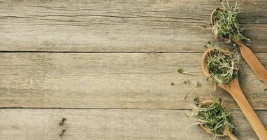 sprouted green sprouts of chia, arugula and mustard in a wooden spoon on a gray background photo