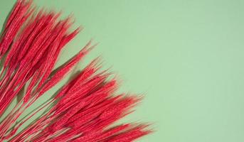 bunch of red wheat on a green background. Abstract background for designer photo