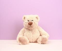 lindo oso de peluche beige sentado sobre fondo púrpura foto