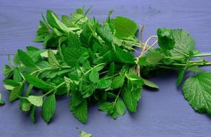 bunch of green mint on a blue wooden  background, fragrant spice for cocktails and desserts photo