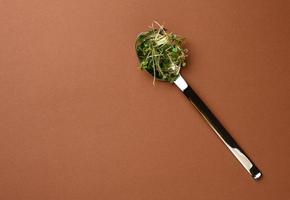 young sprouts of microgreen in a metal spoon on a brown background photo