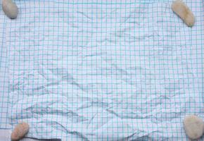 crumpled white paper texture in a cage, blue lines, school notebook photo