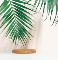 escenario para exhibir productos, cosméticos con un podio redondo de madera y una hoja de palma verde. sombra en el fondo foto