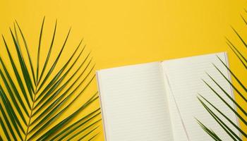 open notebook with blank white sheets on a yellow background, top view. photo