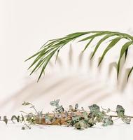 stage for displaying products, cosmetics with a round wooden podium and a green palm leaf. Shadow on the background photo