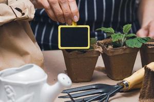 Woman at home is planting plants in a paper cup. Growing vegetables at home photo