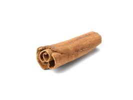 dry brown cinnamon stick isolated on white background, spice photo