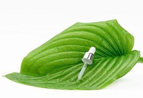 glass pipette with liquid lies on a green leaf, white background photo