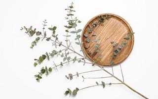 eucalyptus branch, wooden circle isolated on white background. Place for product demonstration, cosmetics. Advertising and product promotion photo